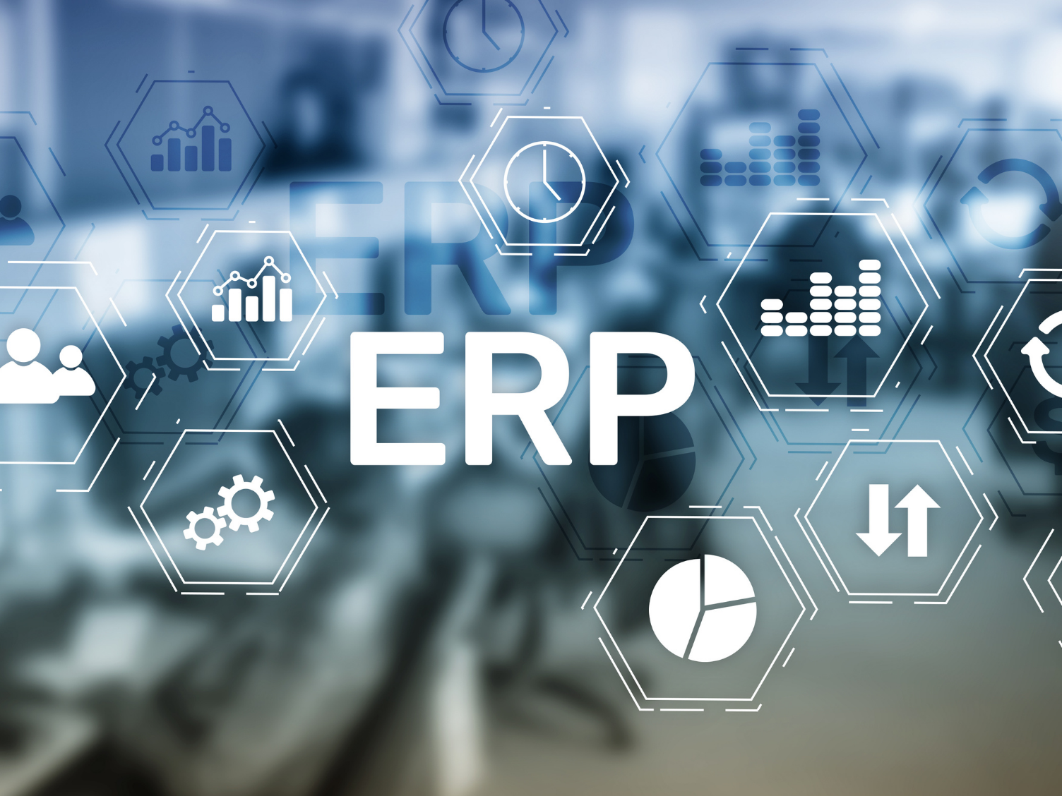 ERP System